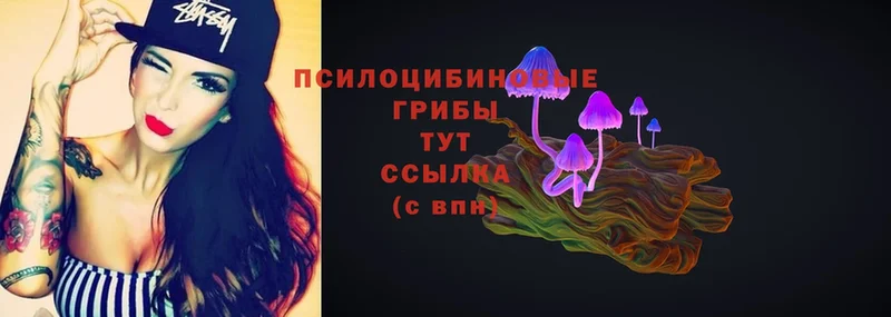 Псилоцибиновые грибы Magic Shrooms  darknet клад  Бабушкин  сколько стоит 